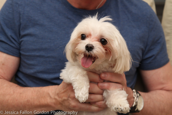 Tails of Broadway: Tony Nominee Patrick Page Poses with Georgie! Image