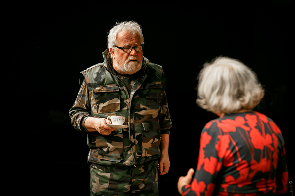 Photo Flash: First Look at BENEATH THE BLUE RINSE at Park Theatre Image
