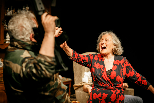 Photo Flash: First Look at BENEATH THE BLUE RINSE at Park Theatre 