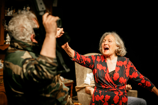 Photo Flash: First Look at BENEATH THE BLUE RINSE at Park Theatre Image