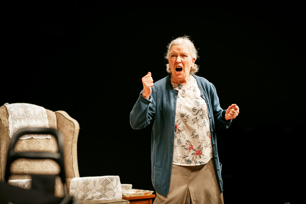 Photo Flash: First Look at BENEATH THE BLUE RINSE at Park Theatre Image