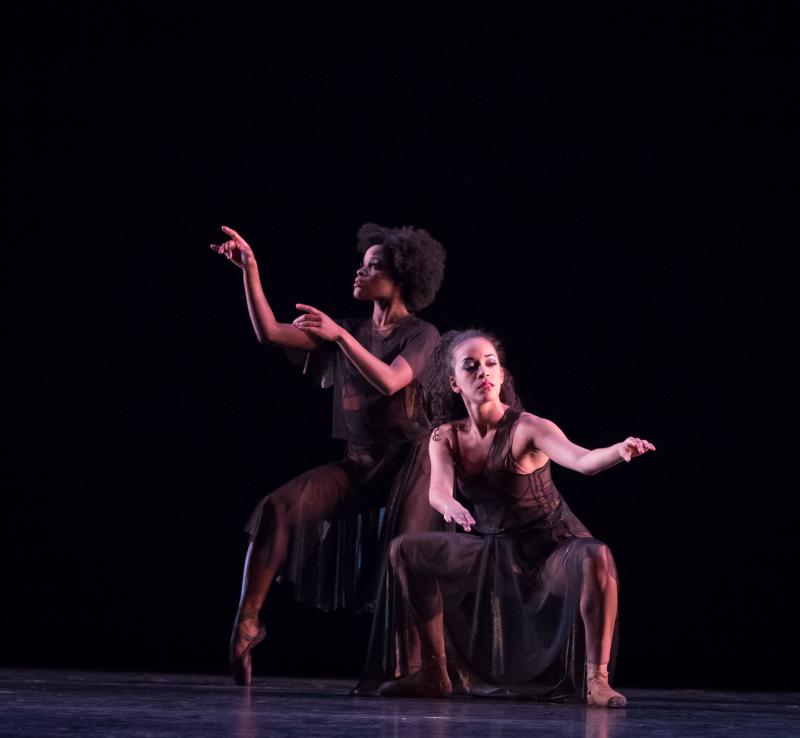 Review: Dance Theatre Of Harlem Sets Tone For The Future Of Ballet  Image