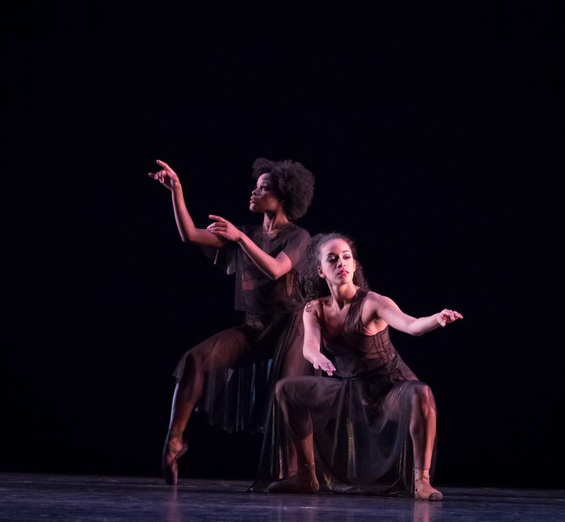 Review: Dance Theatre Of Harlem Sets Tone For The Future Of Ballet Image