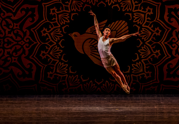 Exclusive Photos: Miami City Ballet Performs In BALLET ACROSS AMERICA at Kennedy Center Image