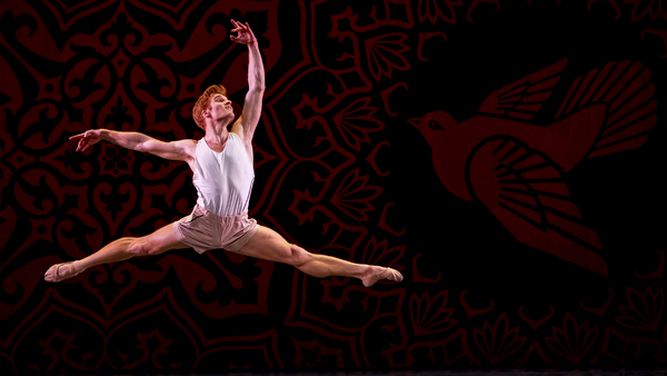 Exclusive Photos: Miami City Ballet Performs In BALLET ACROSS AMERICA at Kennedy Center Image