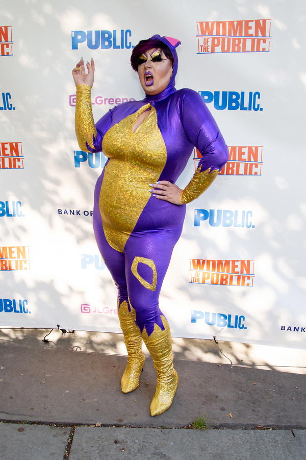 Photo Coverage: Ladies Unite at WOMEN OF THE PUBLIC Gala Image