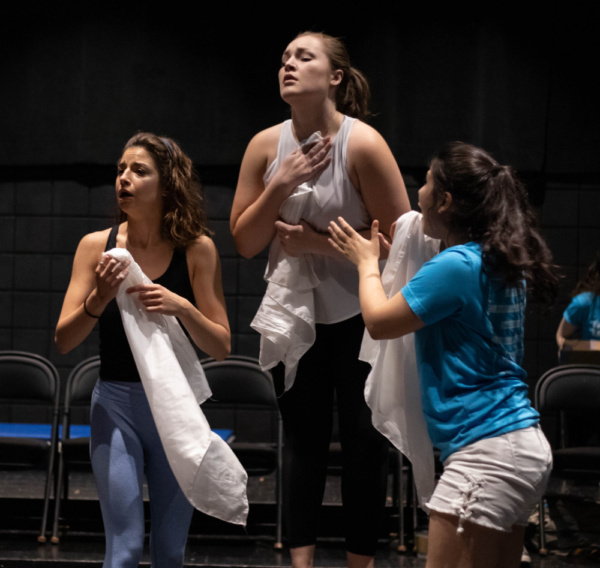Photo Flash: In Rehearsal With Hope Summer Rep's ELEPHANT & PIGGIE Image
