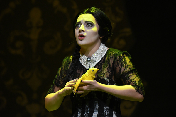 Photo Flash: Arizona Broadway Theatre Presents THE ADDAMS FAMILY Image