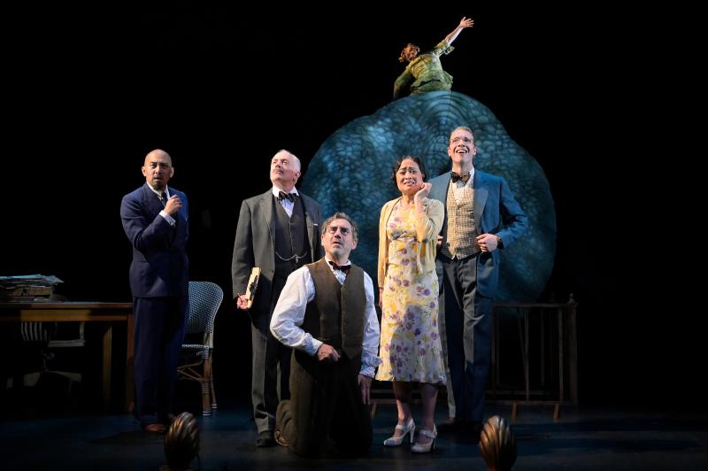 Review: RHINOCEROS at American Conservatory Theatre Image