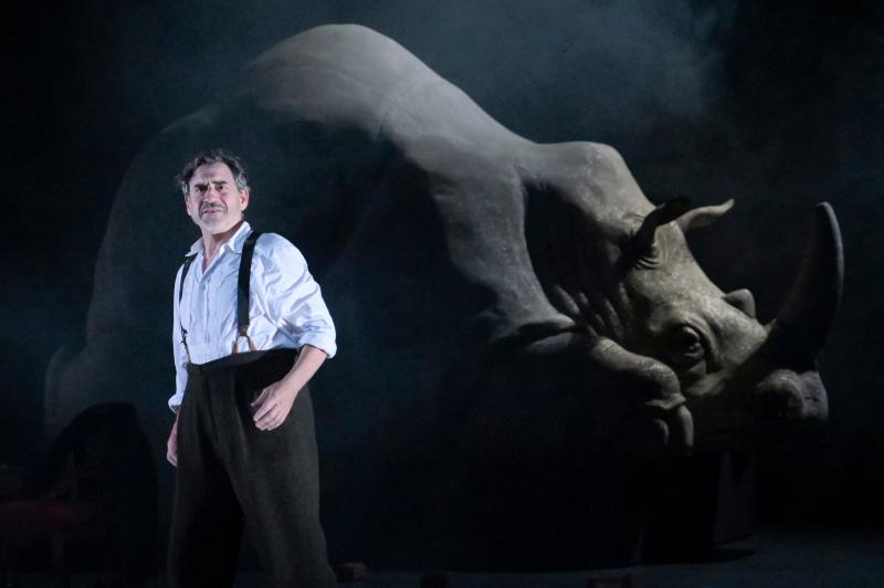 Review: RHINOCEROS at American Conservatory Theatre 
