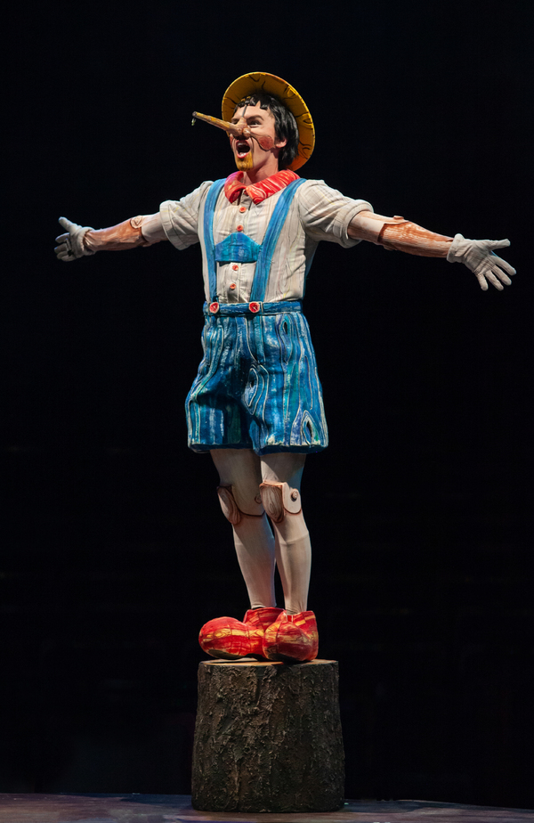 Photo Flash: Get A First Look At SHREK at Sacramento Music Circus Image