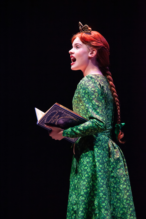 Photo Flash: Get A First Look At SHREK at Sacramento Music Circus Image