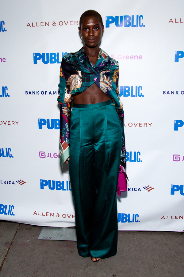 Photo Coverage: On the Opening Night Red Carpet of MUCH ADO ABOUT NOTHING in the Park! Image