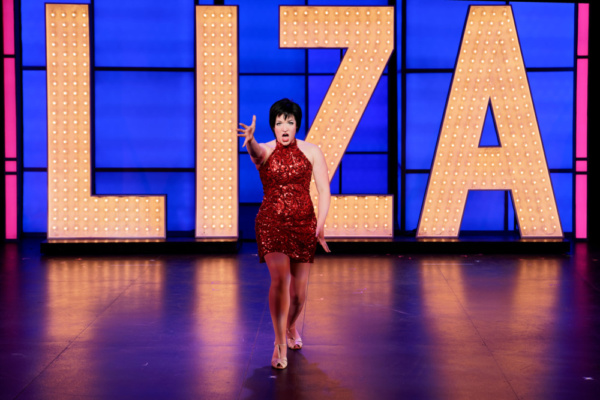Photo Flash: THE BOY FROM OZ Dazzles Audiences At STAGES St. Louis Image