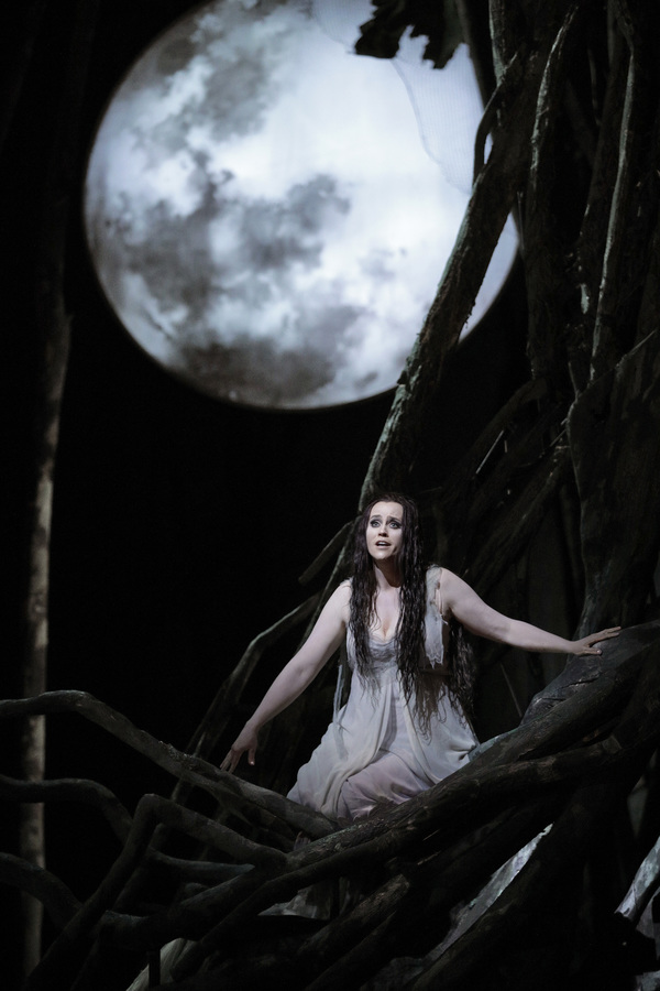 Photo Flash: First Look at San Francisco Opera's RUSALKA Image