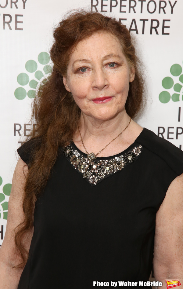 Photo Coverage: Inside Irish Repertory Theatre's 30th Anniversary Celebration Gala Image
