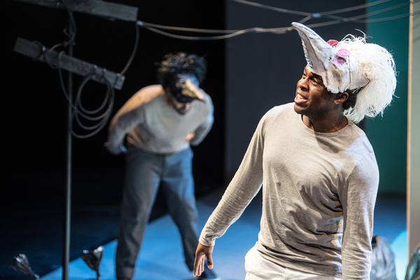 Photo Flash: First Look at Unicorn Theatre's AESOP'S FABLES Image