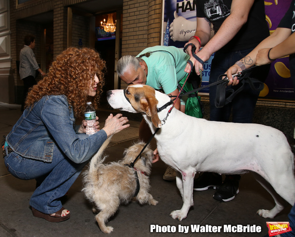 Exclusive Photo Coverage: Construction in Shubert Alley Leaves Broadway Barks Homeless for 2019 Image