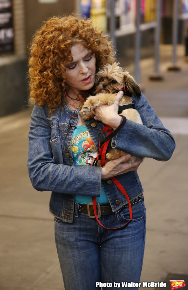 Exclusive Photo Coverage: Construction in Shubert Alley Leaves Broadway Barks Homeless for 2019 Image