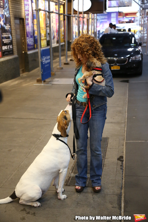 Exclusive Photo Coverage: Construction in Shubert Alley Leaves Broadway Barks Homeless for 2019 Image