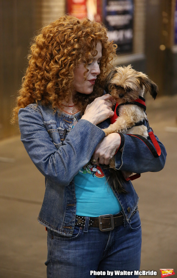 Exclusive Photo Coverage: Construction in Shubert Alley Leaves Broadway Barks Homeless for 2019 Image
