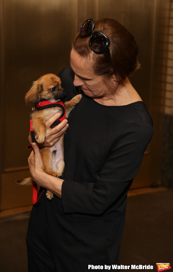 Exclusive Photo Coverage: Construction in Shubert Alley Leaves Broadway Barks Homeless for 2019 Image