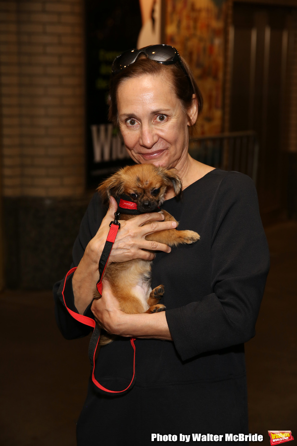 Exclusive Photo Coverage: Construction in Shubert Alley Leaves Broadway Barks Homeless for 2019 Image