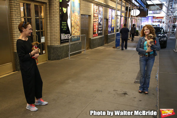 Exclusive Photo Coverage: Construction in Shubert Alley Leaves Broadway Barks Homeless for 2019 Image
