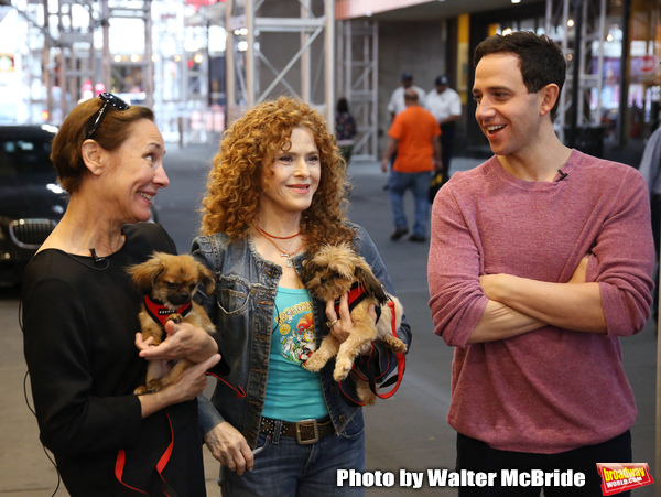 Exclusive Photo Coverage: Construction in Shubert Alley Leaves Broadway Barks Homeless for 2019 Image