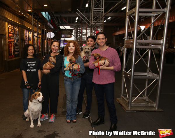 Exclusive Photo Coverage: Construction in Shubert Alley Leaves Broadway Barks Homeless for 2019 Image