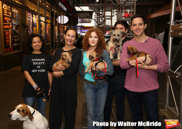 Exclusive Photo Coverage: Construction in Shubert Alley Leaves Broadway Barks Homeless for 2019 Image