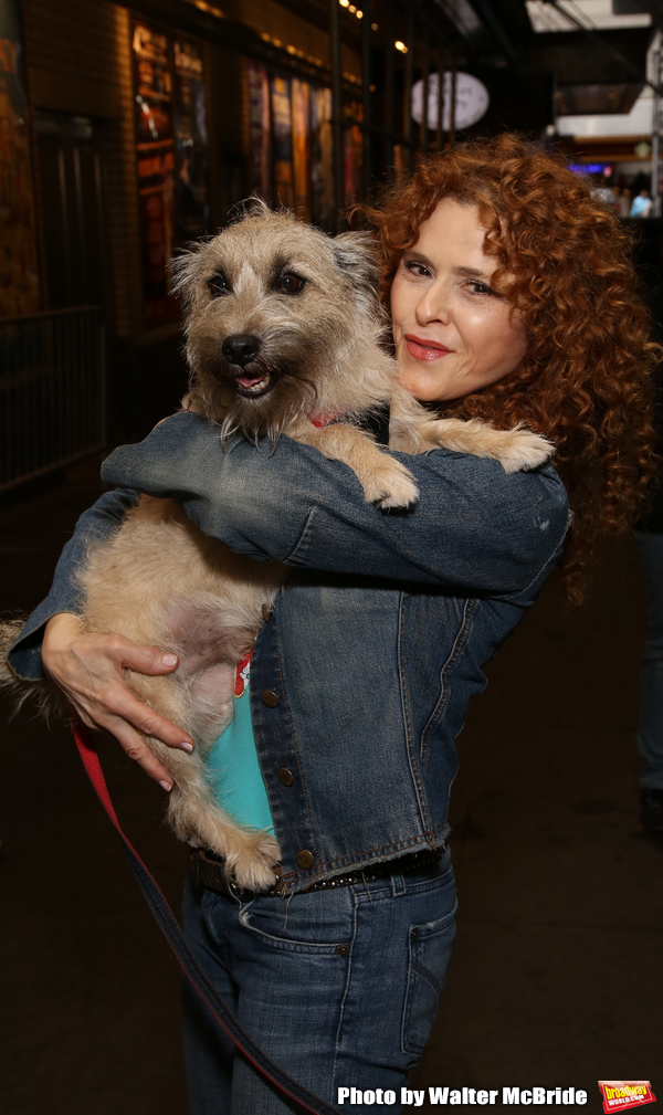 Exclusive Photo Coverage: Construction in Shubert Alley Leaves Broadway Barks Homeless for 2019 Image