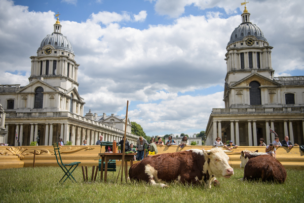 Photo Flash: Greenwich+Docklands International Festival Features PASTURE WITH COWS Image