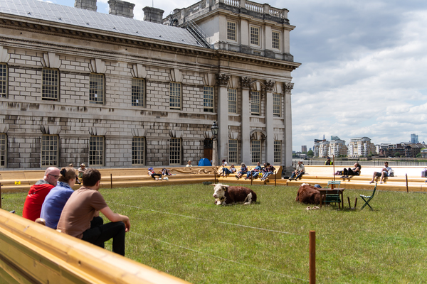 Photo Flash: Greenwich+Docklands International Festival Features PASTURE WITH COWS Image