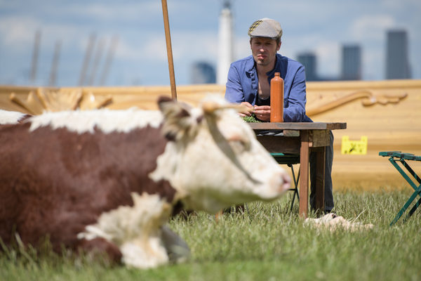 Photo Flash: Greenwich+Docklands International Festival Features PASTURE WITH COWS Image
