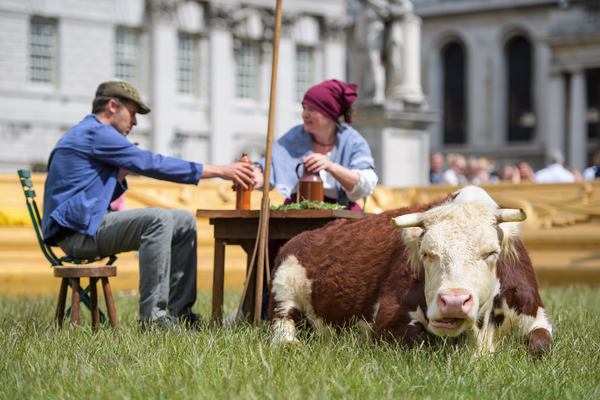 Photo Flash: Greenwich+Docklands International Festival Features PASTURE WITH COWS Image