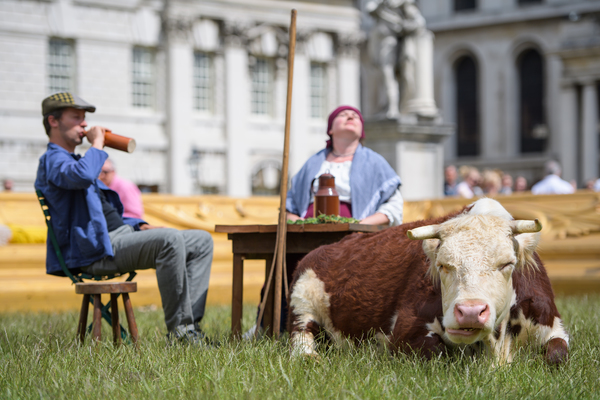 Photo Flash: Greenwich+Docklands International Festival Features PASTURE WITH COWS Image