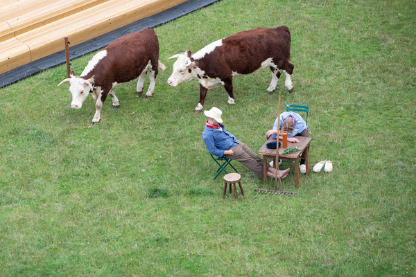 Photo Flash: Greenwich+Docklands International Festival Features PASTURE WITH COWS Image