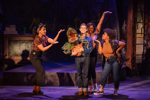 Photo Flash: Get a First Look at LITTLE SHOP OF HORRORS At The Cape Playhouse Image