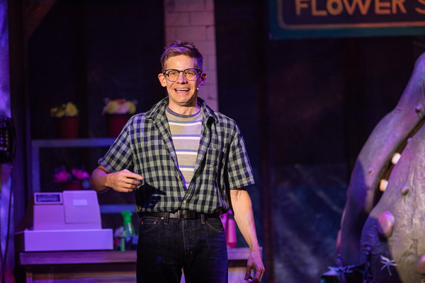 Photo Flash: Get a First Look at LITTLE SHOP OF HORRORS At The Cape Playhouse Image
