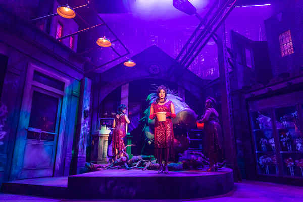 Photo Flash: Get a First Look at LITTLE SHOP OF HORRORS At The Cape Playhouse Image
