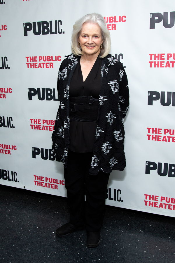Photo Coverage: Go Inside Opening Night of WE'RE ONLY ALIVE... at the Public! Image