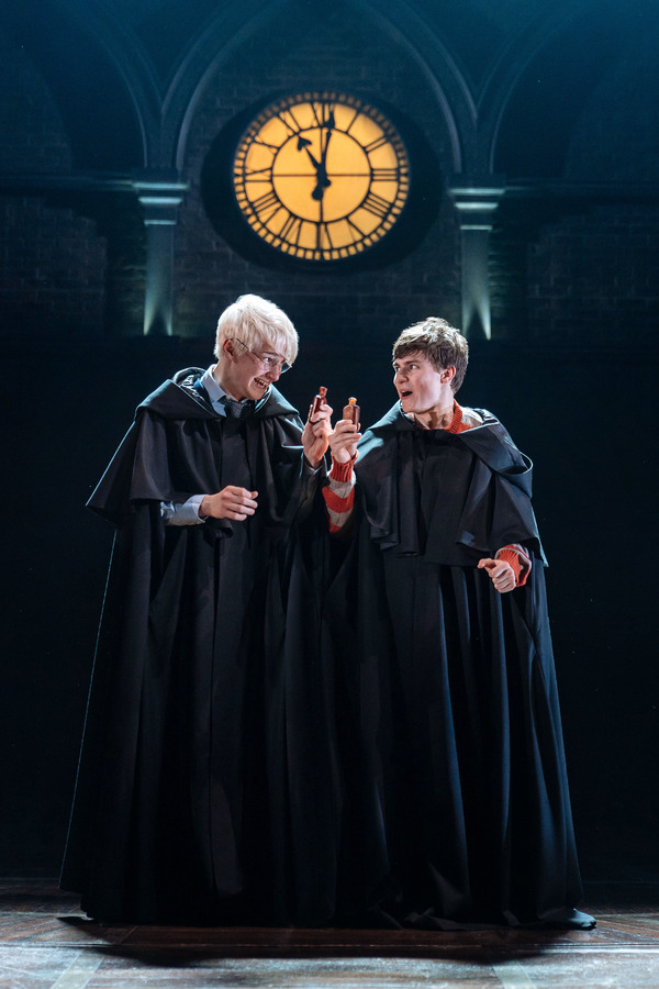 Harry Potter and the Cursed Child: Both Parts