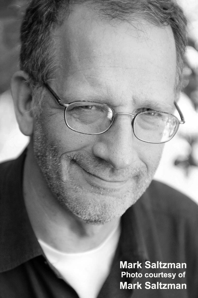 Interview: Playwright Mark Saltzman's A Runyonesque Accomplice In ANOTHER ROLL OF THE DICE Image