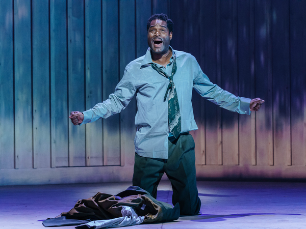 Photo Flash: First Look at Birmingham Hippodrome and Leicester Curve's THE COLOR PURPLE Image