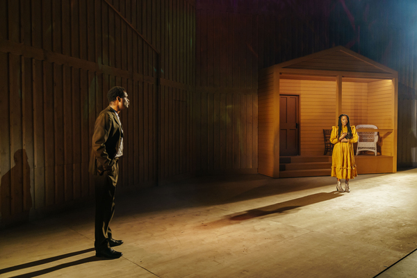 Photo Flash: First Look at Birmingham Hippodrome and Leicester Curve's THE COLOR PURPLE Image