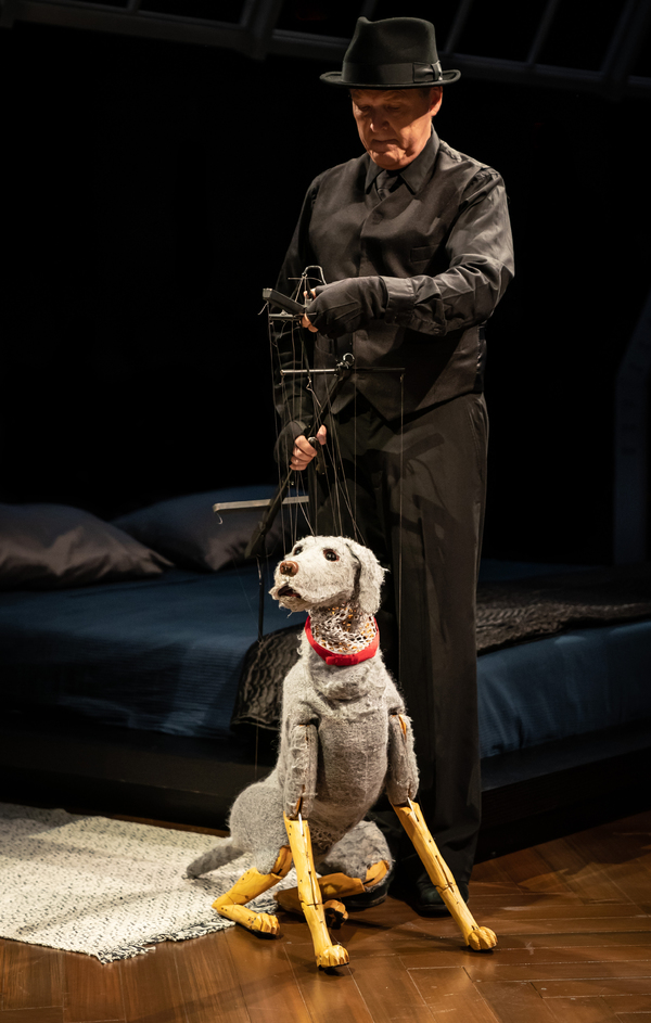 Photo Flash: First Look at DARLING GRENADINE at the Marriott Theatre Image