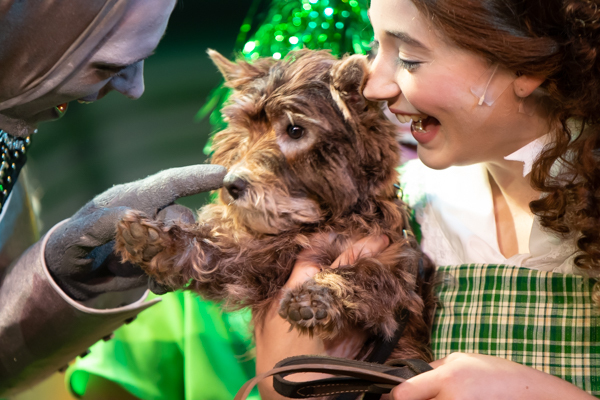 Photo Coverage: First look at MTVarts' THE WIZARD OF OZ Image