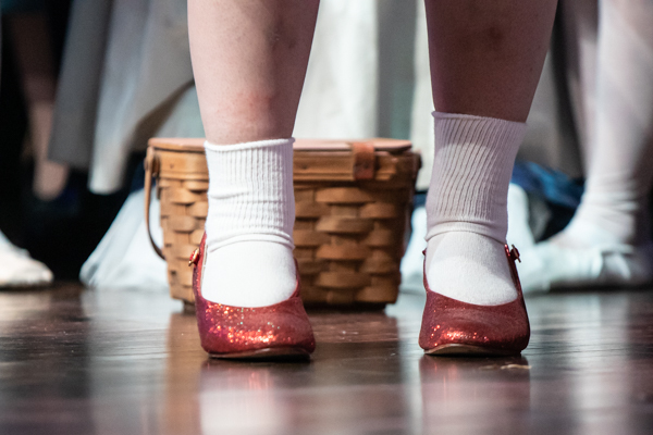 Photo Coverage: First look at MTVarts' THE WIZARD OF OZ Image