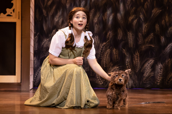 Photo Coverage: First look at MTVarts' THE WIZARD OF OZ Image